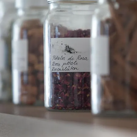 Villa Casa El Cantito